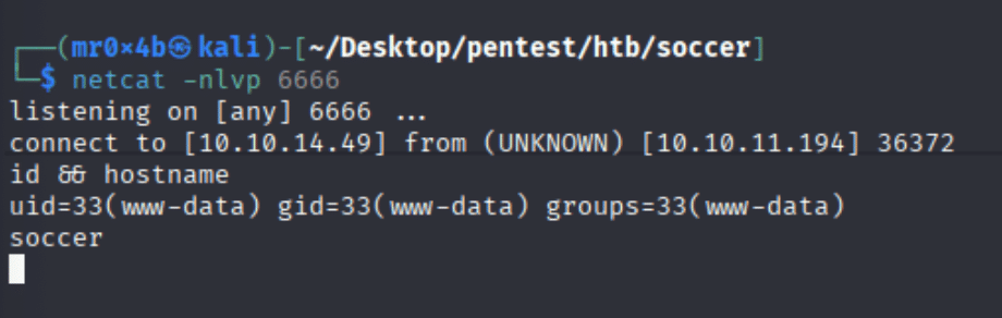 Soccer - initial reverse shell